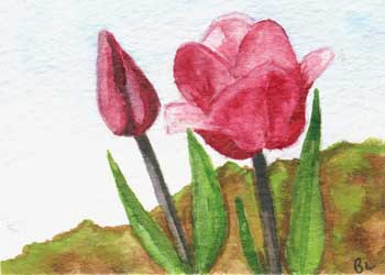 "Tulips" by Beverly Larson, Oregon WI - Watercolor